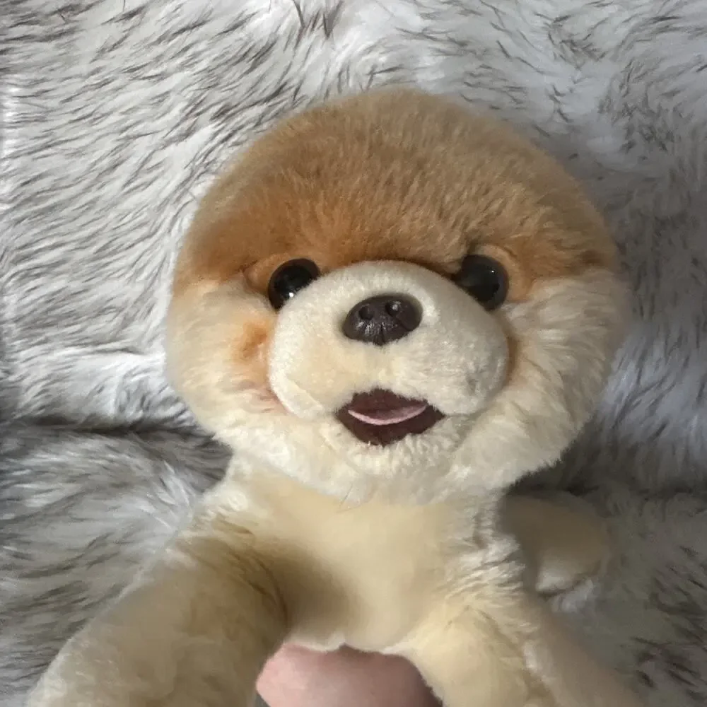 Gund Boo World's Cutest Dog 14